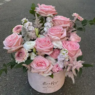 Aroma Bloom