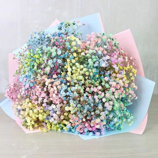 Букет з 7-ми гілок райдужної гіпсофіли