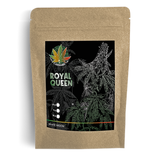 Royal Queen - White Widow 1,5g