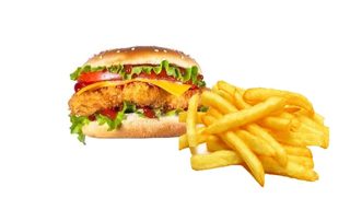 Chicken burger + frites