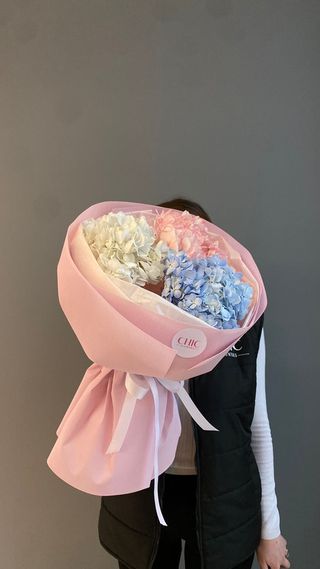 Облачные гортензии 3 шт 