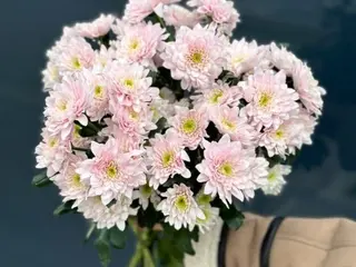 5 margaretek