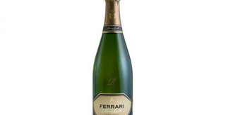 Riserva Lunelli Trento Doc Spumante Extra Brut - 2015