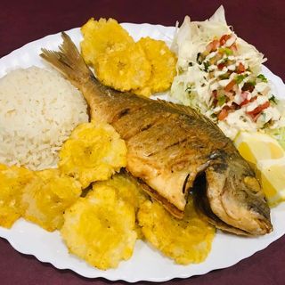 dorada frita 