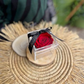 Flower Box Rose Éternelle Rouge