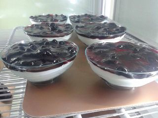 Semifreddo cheescake gusti frutta 