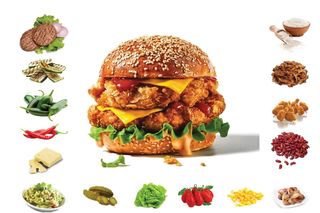 Componi il tuo Burger\Panino