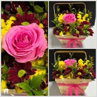 Mimosa e rosa bellissima in cestino 