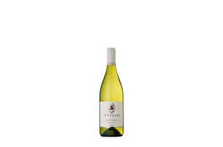 Attems Pinot Grigio