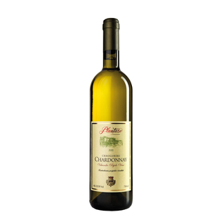 Plantaže Chardonay