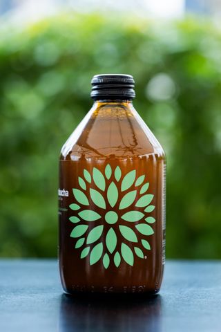 VIGO CUCUMBER-CORIANDER