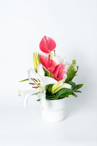 Eclat Floral