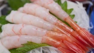 258. Sashimi amaebi - 4 pezzi