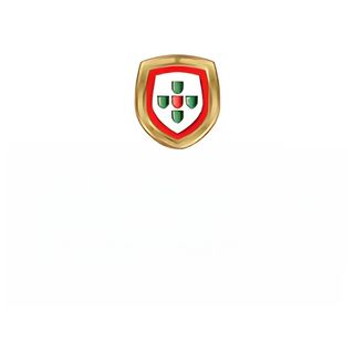 Sagres 330ML