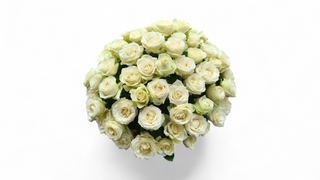 101 bela ruža korpa LUX