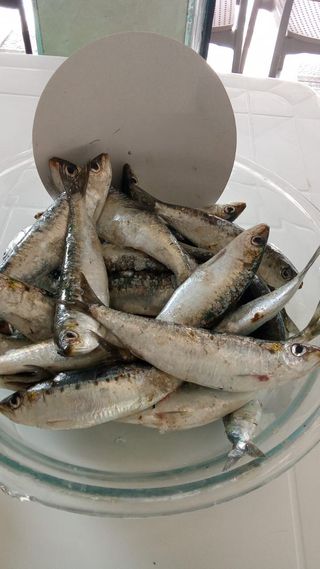 Sardines Grillées