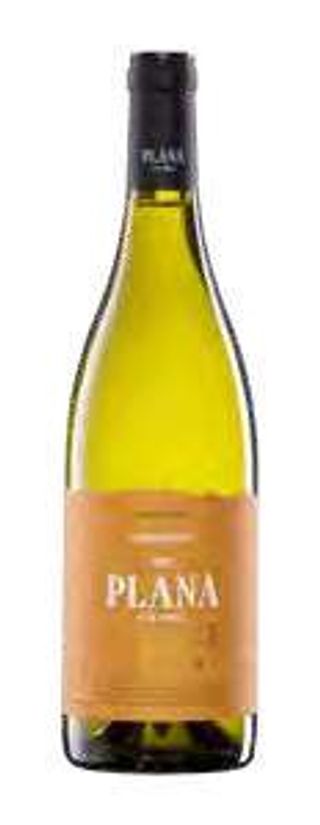 Plana D'En Foixell Chardonnay 2023 (750 Ml.)