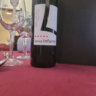 Vino Tinto Lynus Infante