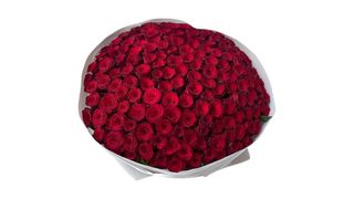 Bukiet 101 róż 60cm