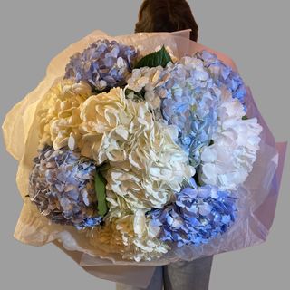 Bukiet hortensji Cloud