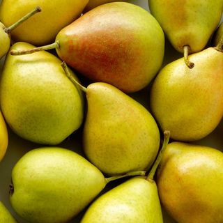 Kruška Santa Marija 