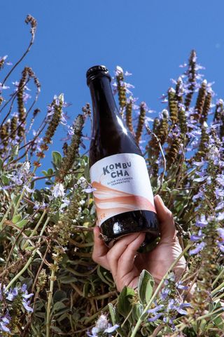 Kombucha La Flor 375ml