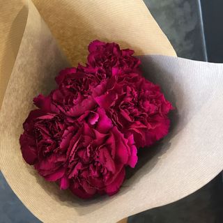 Bouquet Œillets Violet (5)