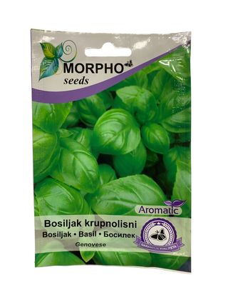 Bosiljak krupnolisni Genovese