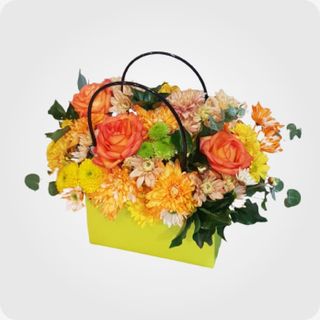 კომპოზიცია ჩანთში