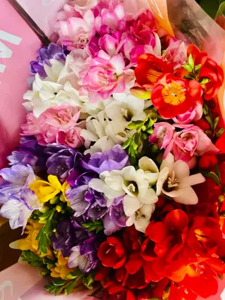 bouquet di fresia  medio