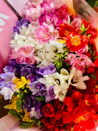 bouquet di fresia  medio