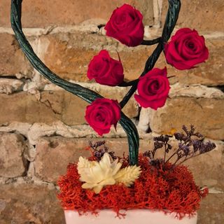 Princess by Xenorosa