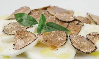 Mozzarella di bufala, tartufo fresco, rucola e pomodorini