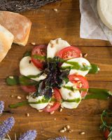 Сыр Моцарелла