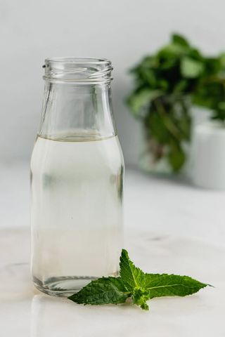 Pepper Mint Syrup