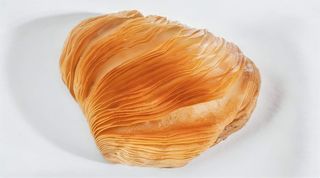 Sfogliatella riccia