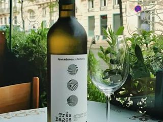 Três Bagos Suavignon 