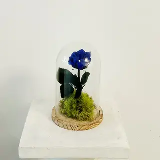 Cúpula de la Bella y la Bestia "Rosa Eterna Azul" 