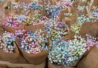 ფერადი გიფსოფილა ტოტი (large/8ტოტი)