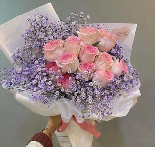 ჰოლანდიური ვარდი გიფსოფილა