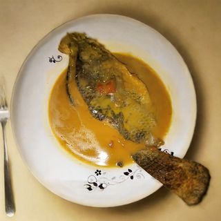 Fish in G-Nuts