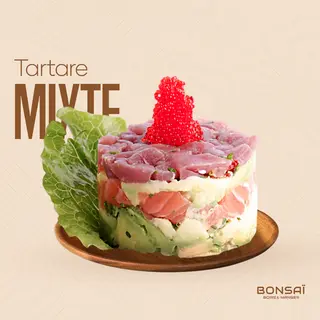 Tartare Mixte