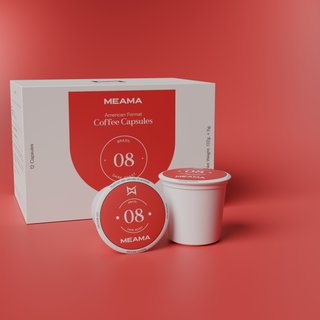 ბრაზილია 08