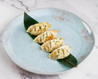 Gyosas de Frango e Legumes