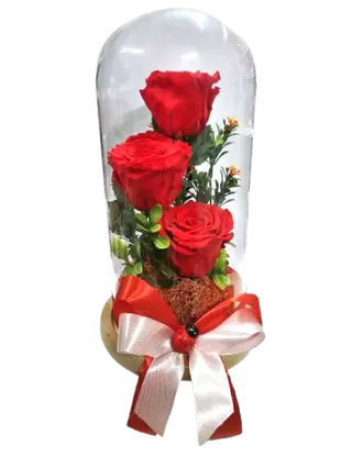 '’Amintire eterna!‘’3 tradafiri rosii criogenati in Cupola xxl de 25cm ( facut manual )