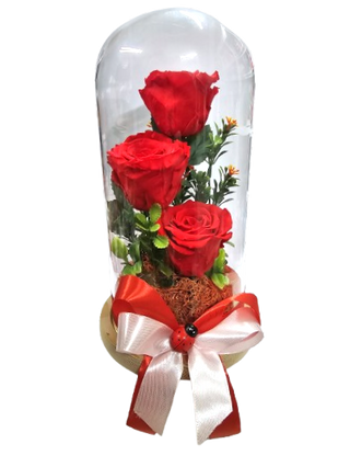 '’Amintire eterna!‘’3 tradafiri rosii criogenati in Cupola xxl de 25cm ( facut manual )