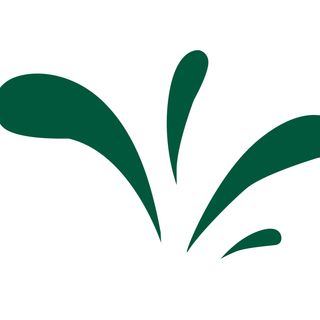 CLASSIC SALMON BAGEL 