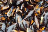 Moules
