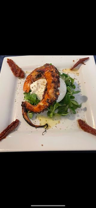 Polipo alla griglia con burrata pugliese e pomodorini secchi 