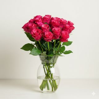 Троянда сорту Такази